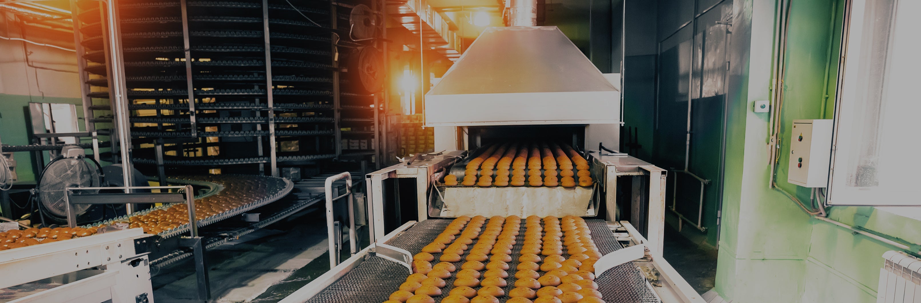 Rows of baked goods on conveyor belts moving through an industrial oven in a food manufacturing plant