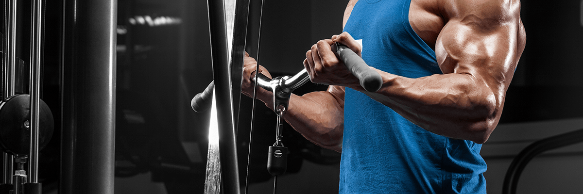 The Bigger Biceps Workout