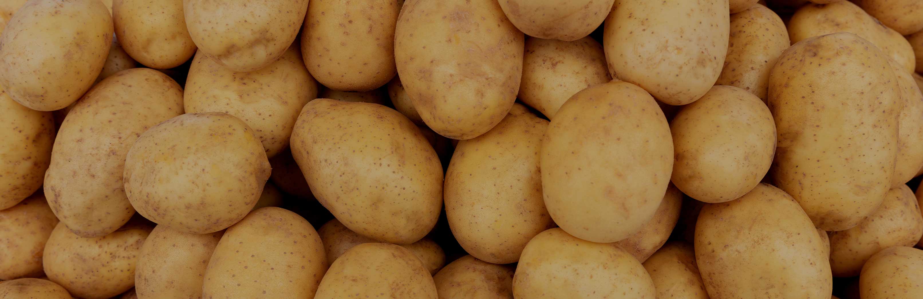 The Versatility Behind the Potato