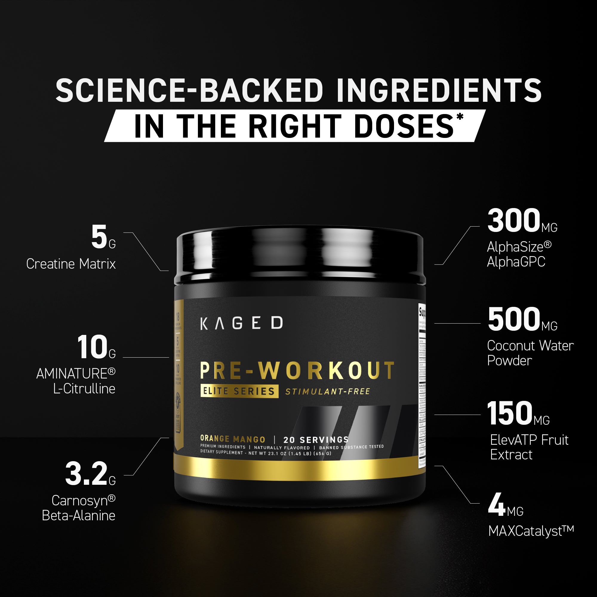 Pre-Workout Elite Stimulant Free