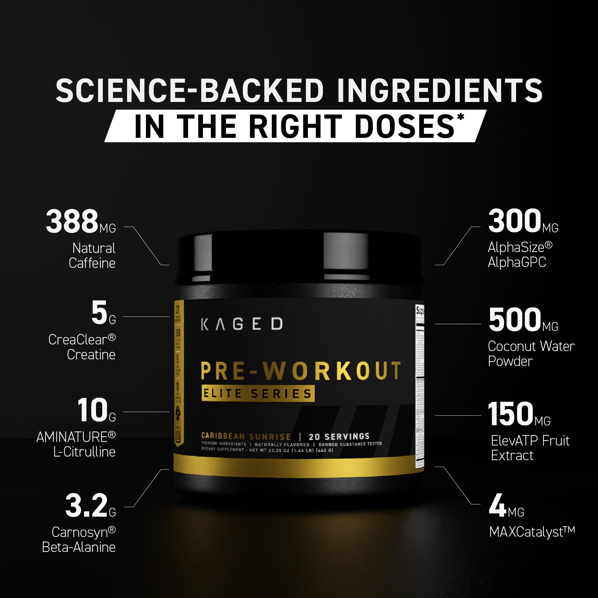 Pre-Workout Elite
