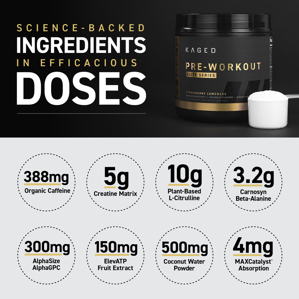 PreWorkout Elite Unleash Energy & Power Kaged