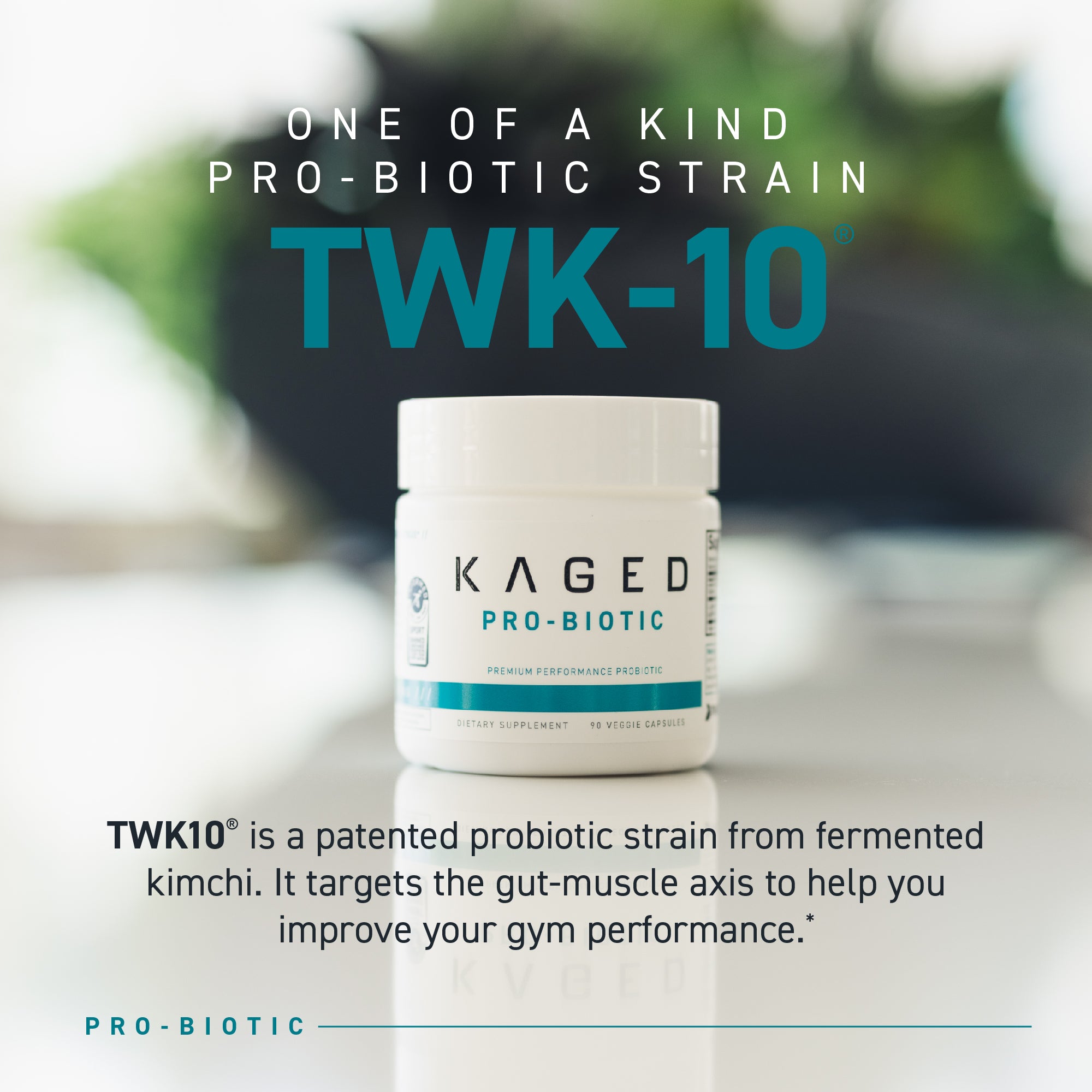 Pro-Biotic