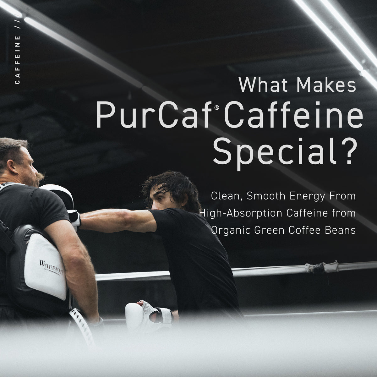 Purcaf® Caffeine
