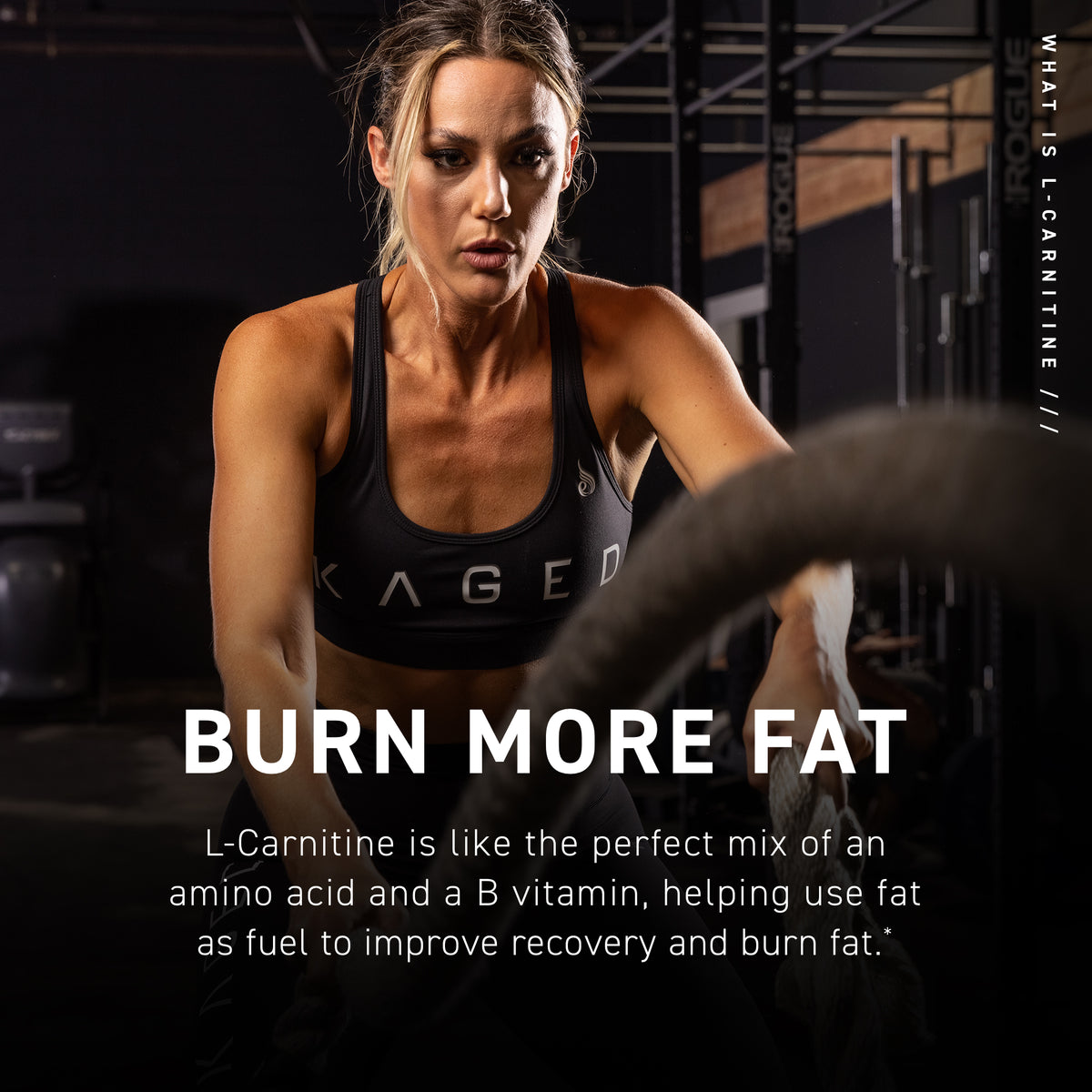 L-Carnitine