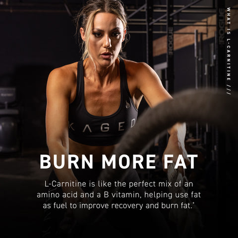 L-Carnitine